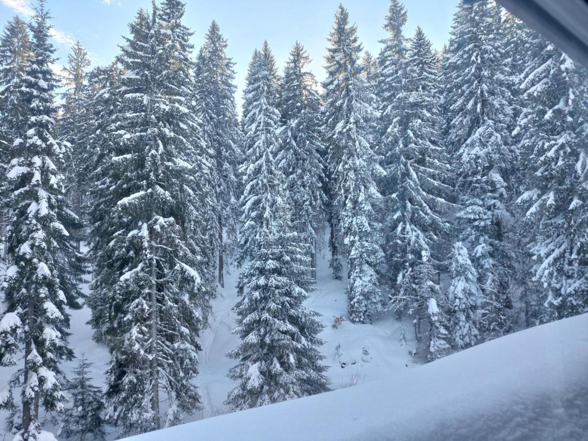 Ski & Holiday Apartments In Pamporovo Buitenkant foto
