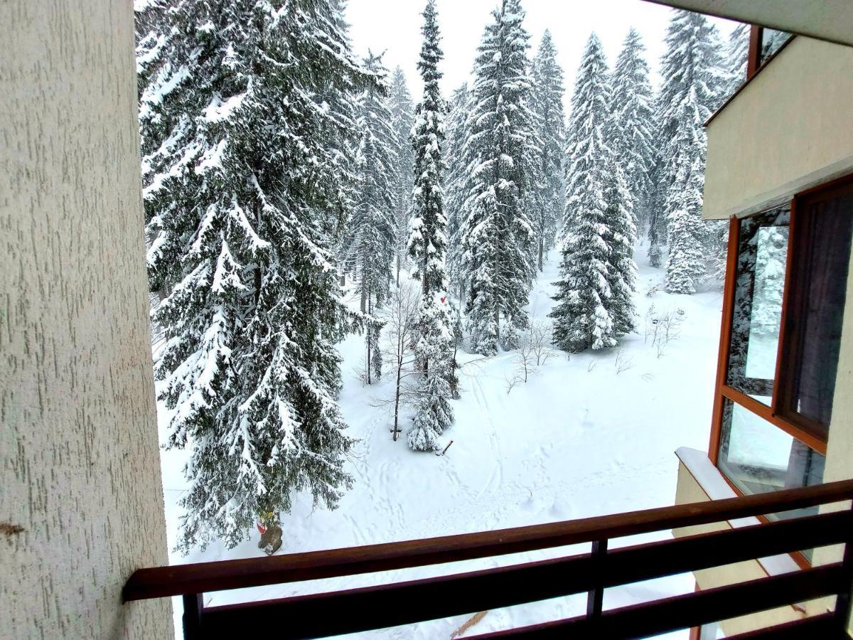 Ski & Holiday Apartments In Pamporovo Buitenkant foto