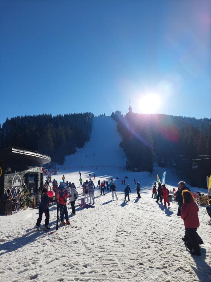 Ski & Holiday Apartments In Pamporovo Buitenkant foto