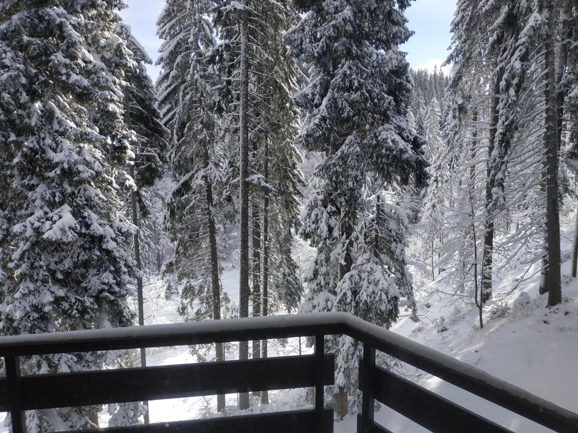Ski & Holiday Apartments In Pamporovo Buitenkant foto