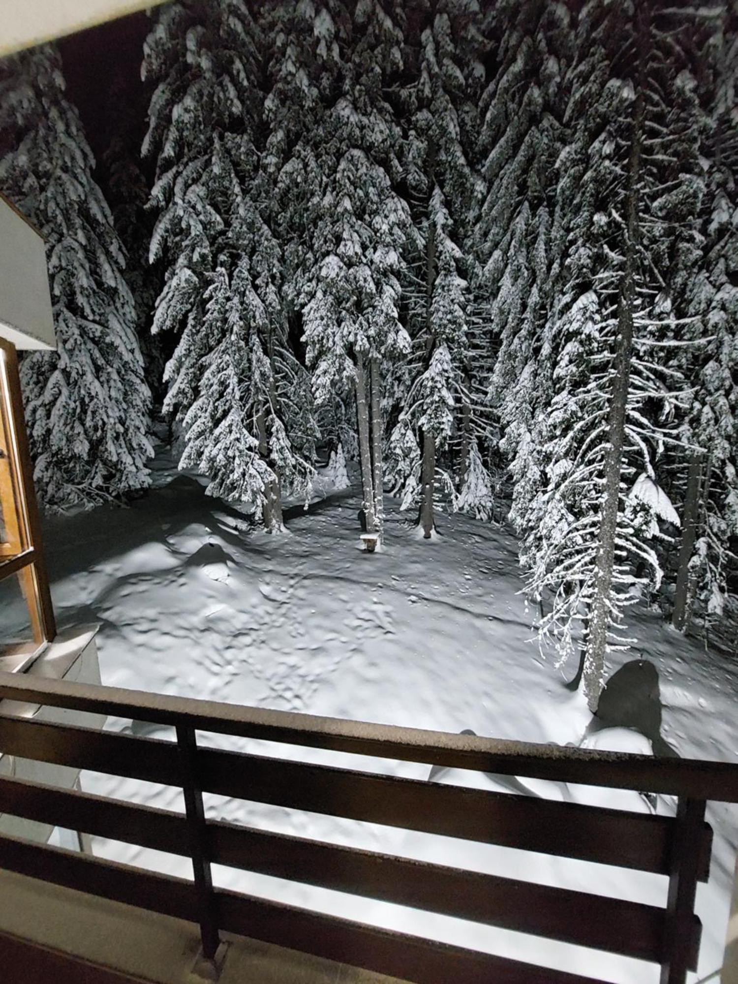 Ski & Holiday Apartments In Pamporovo Buitenkant foto