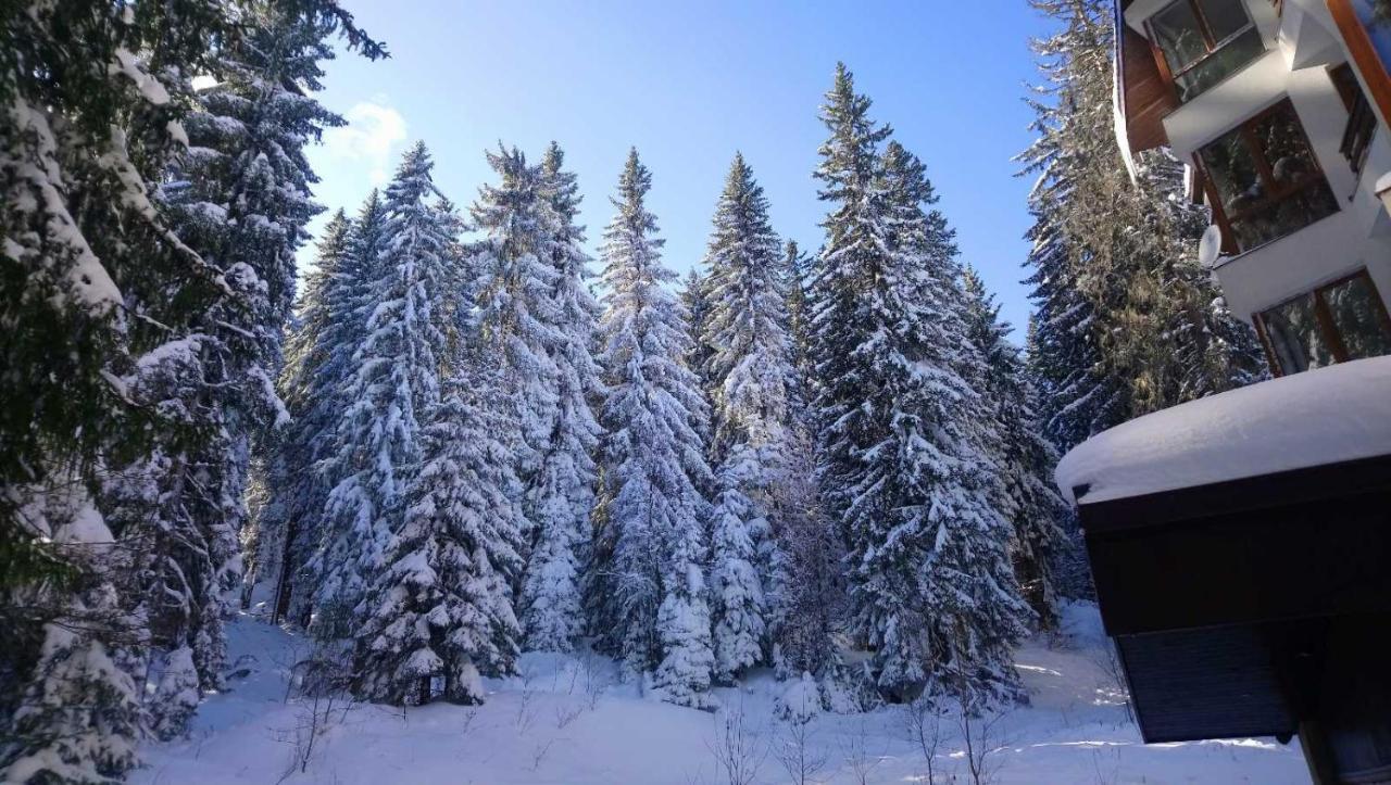 Ski & Holiday Apartments In Pamporovo Buitenkant foto